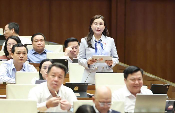 ĐB Nguyễn Phạm Duy Trang (TPHCM). Ảnh: QUANG PHÚC