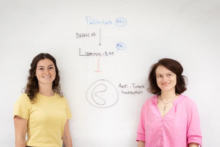 TS Anke Vandekeere và GS Sarah-Maria Fendt (Trung tâm Sinh học Ung thư VIB-KU Leuven)