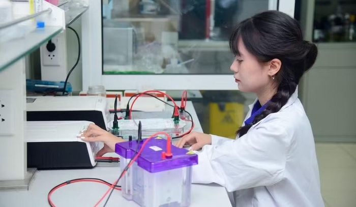 Sinh viên Trường Đại học Khoa học và Công nghệ Hà Nội.