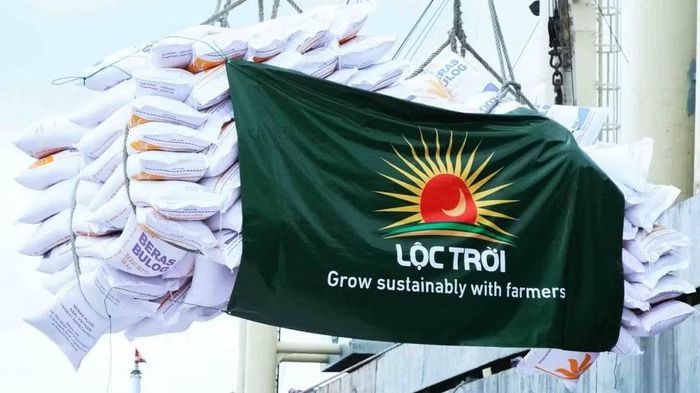 Tập đoàn Lộc Trời phải gia hạn công bố báo cáo tài chính quý II/2026.