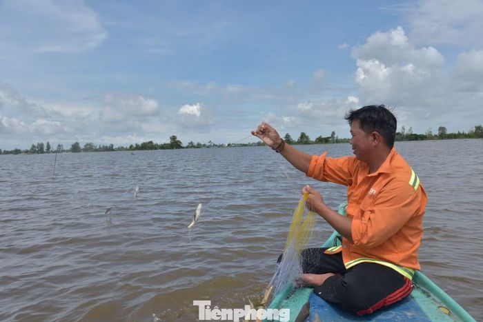 Người dân đánh bắt cá trên đồng lũ. Ảnh: Hoà Hội.