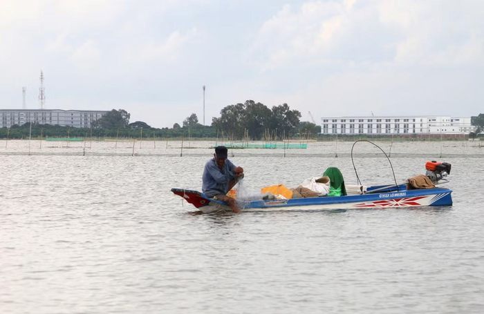 Người dân giăng lưới trên đồng lũ năm 2025. Ảnh: Hoà Hội.