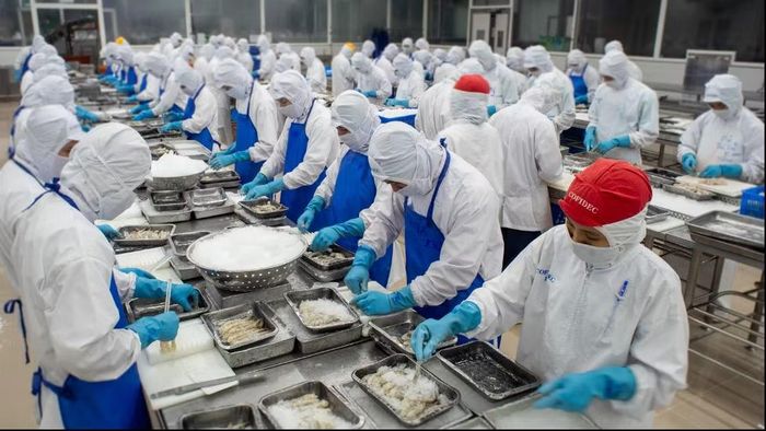 COFIDEC kiểm soát chặt chẽ nguồn nguyên liệu và tiêu chuẩn chất lượng, tạo tiền đề vững chắc cho việc truy xuất nguồn gốc trong chuỗi thực phẩm. Ảnh: SATRA.
