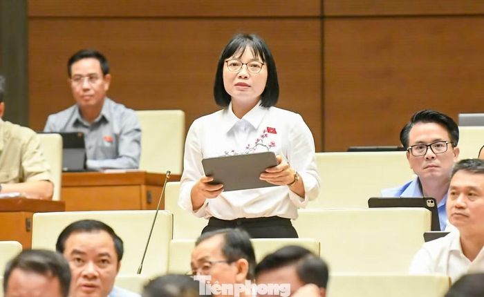 ĐBQH Nguyễn Thị Việt Nga. (Ảnh: Như Ý)