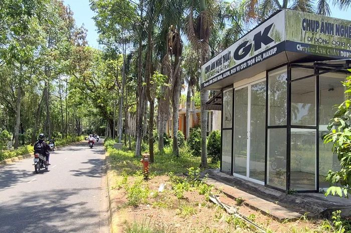Trước đây, công viên thường xuyên diễn ra các hoạt động văn hóa, hội chợ, triển lãm, sự kiện lớn; đồng thời sở hữu nhiều hạng mục vui chơi, giải trí như hồ nước rộng, khu vui chơi ngoài trời, dịch vụ đạp thuyền thiên nga và hồ Tịnh Tâm mô phỏng kiến trúc cung đình Huế, tạo nên nét riêng cho không gian này.
