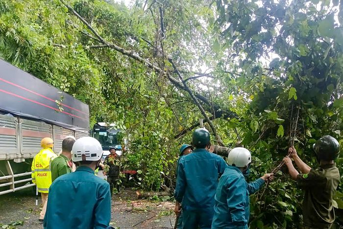 Nhiều lực lượng được huy động dọn dẹp cây ngã đổ. Ảnh: Khánh Ngọc