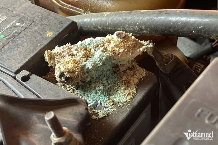 Đầu cực ắc quy lỏng hoặc bị ăn mòn có thể khiến dòng điện truyền dẫn kém. Ảnh: Hoàng Hiệp