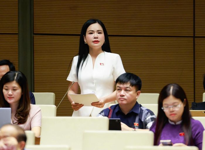 Đại biểu Nguyễn Thị Thanh Bình. Ảnh: QH