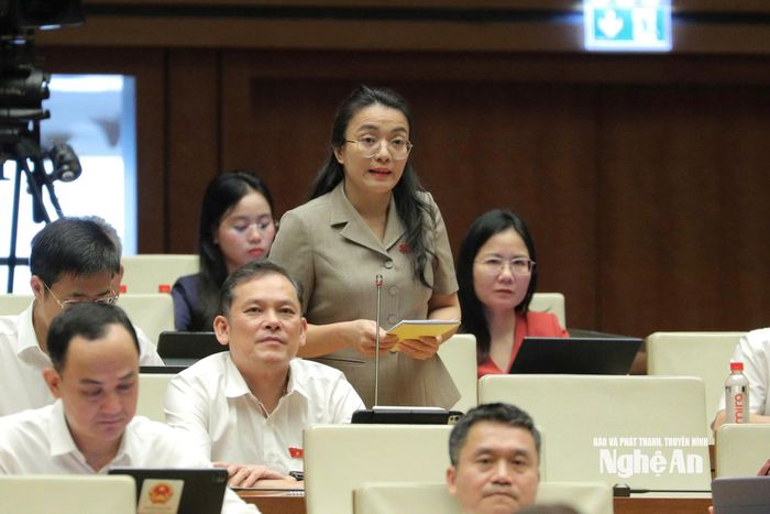 Đại biểu Hoàng Thị Thu Trang (Đoàn ĐBQH tỉnh Nghệ An) phát biểu thảo luận tại hội trường. Ảnh: Viết Chung