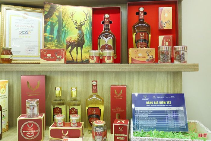 Hội chợ triển lãm là cơ hội để Hà Tĩnh quảng bá thương hiệu sản phẩm địa phương.