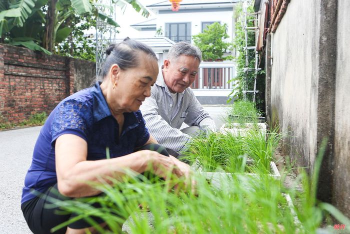 Dù gặp nhiều khó khăn nhưng ông Lê Tiến Thành và bà Lê Thị Mai vẫn luôn cố gắng vươn lên trong cuộc sống.