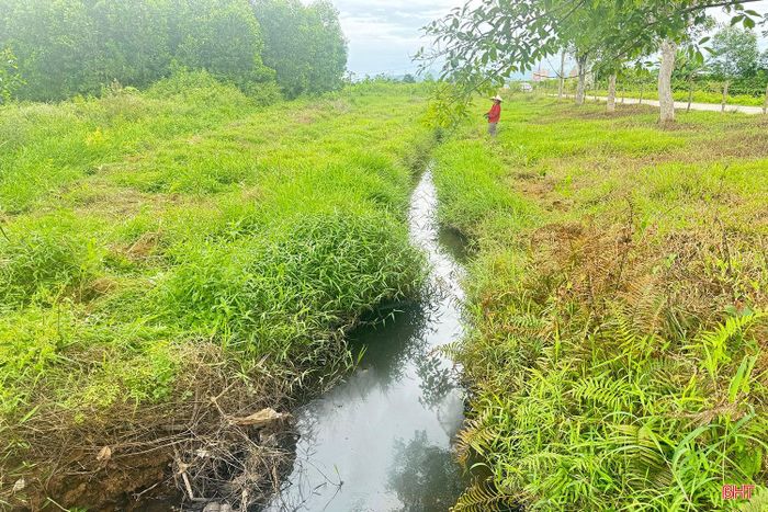 Người dân phải đào kênh đất để đủ nước phục vụ sản xuất trong thời điểm nhiều diện tích lúa hè thu đang trổ bông.