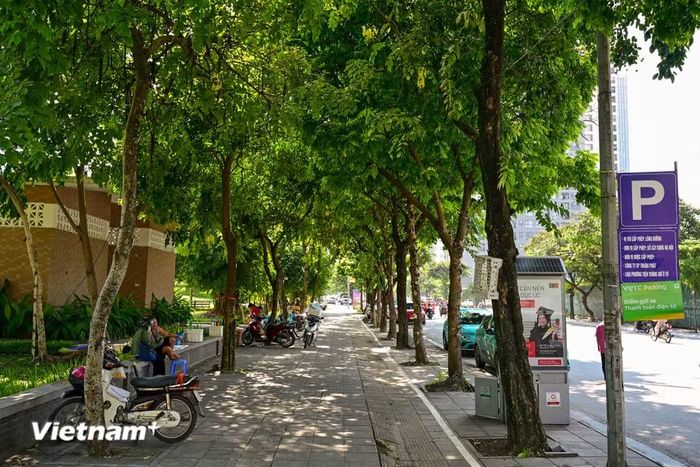 Đề án thí điểm tổ chức không gian văn hóa, tuyến phố đi bộ tại phố Thành Thái, với mục tiêu xây dựng thương hiệu "Cầu Giấy - Thung lũng sáng tạo, không gian xanh và tinh hoa cốm Vòng," tạo thêm điểm đến văn hóa, du lịch và sinh hoạt cộng đồng của Thủ đô. (Ảnh: Minh Sơn/Vietnam+)