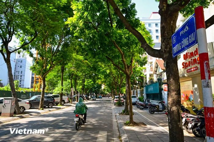 Tuyến phố Trương Công Giai rợp bóng cây xanh mát. (Ảnh: Minh Sơn/Vietnam+)