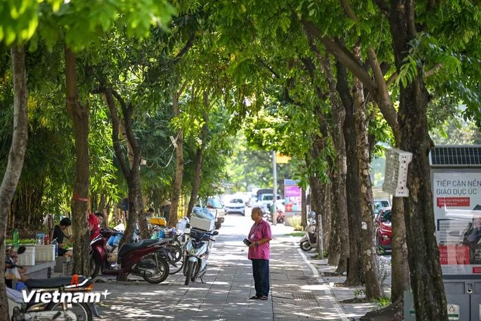 Đề án được triển khai theo hai giai đoạn. Trong đó, giai đoạn 1 tập trung xây dựng khu vực lõi của không gian văn hóa Cầu Giấy, gồm một số hạng mục trong Công viên Cầu Giấy và đoạn phố Thành Thái giáp công viên. (Ảnh: Minh Sơn/Vietnam+)