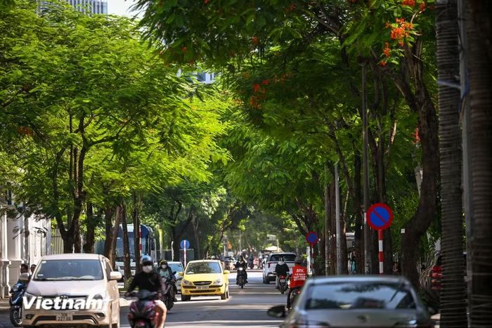Sự xuất hiện của tuyến phố đi bộ thông minh tại khu vực Cầu Giấy không chỉ làm phong phú thêm không gian vui chơi giải trí cho người dân Thủ đô mà còn khẳng định bước tiến mới của Hà Nội trong việc ứng dụng công nghệ để quản lý và vận hành các không gian đô thị hiện đại. (Ảnh: Minh Sơn/Vietnam+)