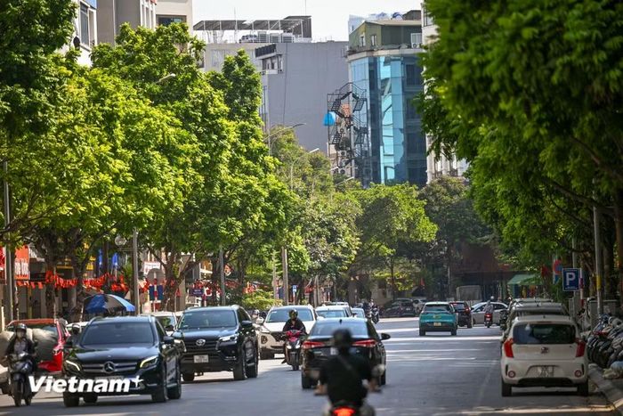 Tuyến phố Khúc Thừa Dụ là nơi tập trung rất nhiều hàng quán ăn uống, cafe. (Ảnh: Minh Sơn/Vietnam+)