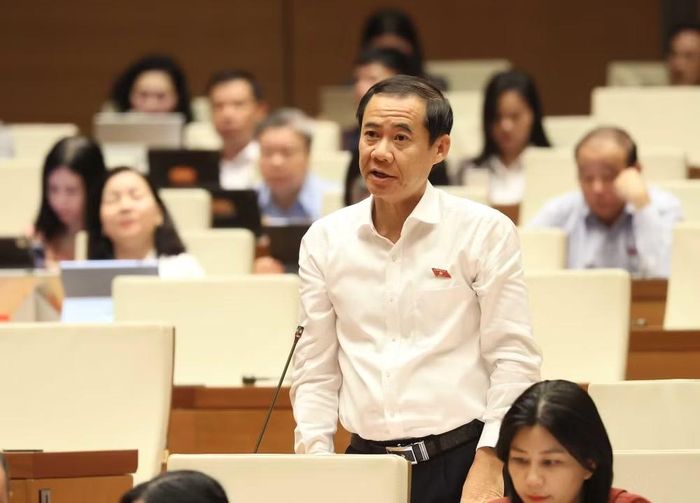 Đại biểu Quốc hội tỉnh Đắk Lắk Nguyễn Thái Học phát biểu. (Ảnh: An Đăng/TTXVN)