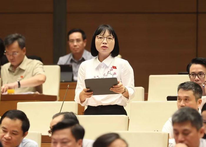 Đại biểu Quốc hội thành phố Hải Phòng Nguyễn Thị Việt Nga phát biểu. (Ảnh: An Đăng/TTXVN)