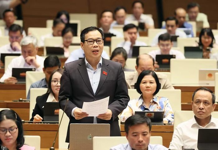 Đại biểu Quốc hội thành phố Hà Nội Đỗ Đức Hồng Hà phát biểu. (Ảnh: An Đăng/TTXVN)