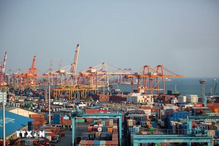 Quang cảnh cảng hàng hóa tại Busan, Hàn Quốc. (Ảnh: THX/TTXVN)