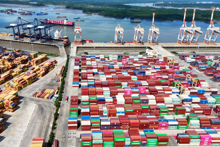 Hoàn thiện thể chế và cải cách thủ tục góp phần tạo thuận lợi cho hoạt động xuất khẩu nông sản.