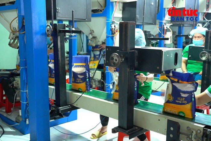 Doanh nghiệp đầu tư dây chuyền chế biến hiện đại nhằm nâng cao chất lượng, gia tăng giá trị nông sản xuất khẩu.