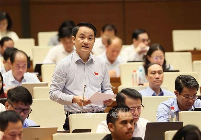 Đại biểu Quốc hội tỉnh Ninh Bình Lê Văn Thế phát biểu. Ảnh: An Đăng/TTXVN