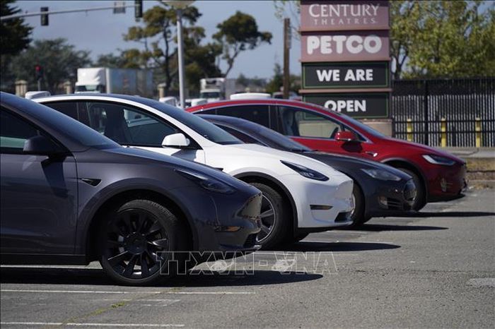 Ô tô của hãng Tesla tại bãi đỗ xe ở San Bruno, California, Mỹ. Ảnh: THX/TTXVN
