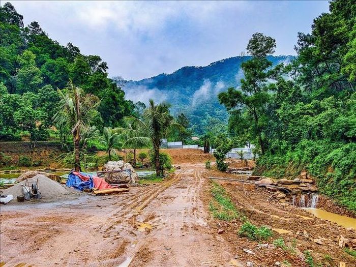 Một khu vực có dấu hiệu bị san gạt, cải tạo mặt bằng giữa rừng phòng hộ Sóc Sơn, xã Kim Anh, Hà Nội. Ảnh: Trung Nguyên/TTXVN