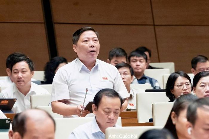 Đại biểu Nguyễn Vũ Trung - đoàn TP. Hồ Chí Minh
