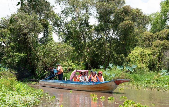 Du khách đi thuyền ngắm cảnh qua những con kênh đẹp như tranh vẽ, hòa mình vào khung cảnh thiên nhiên xanh mát và yên bình.