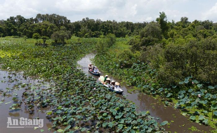 Du khách đi xuồng ba lá khám phá vẻ đẹp thiên nhiên.