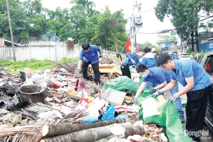 Đoàn viên thanh niên tham gia xử lý “điểm đen” rác thải tại khu vực đất trống đối diện Trường TH-THCS-THPT Đinh Tiên Hoàng (phường Tam Hiệp).