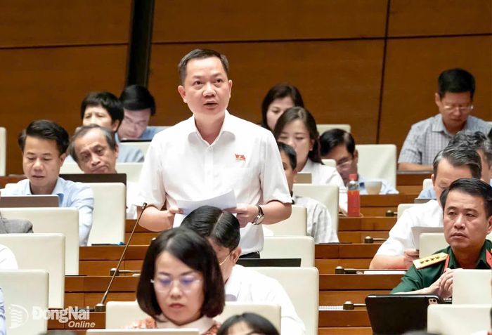 Đại biểu Trịnh Xuân An, Đoàn Đại biểu Quốc hội thành phố Đồng Nai phát biểu thảo luận. Ảnh: CTV