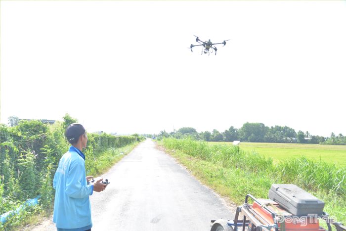 Nông dân thuê drone để phun xịt thuốc phòng trị bệnh trên lúa.