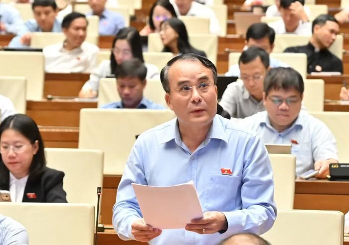 ĐB Trần Minh Trọng đề nghị Quốc hội xem xét biểu quyết thông qua dự án luật tại kỳ họp lần này. Ảnh: Đoàn ĐBQH tỉnh Gia Lai