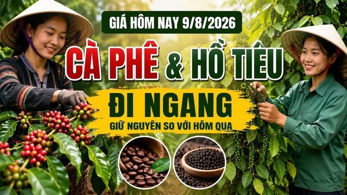 Hình minh họa (AI)