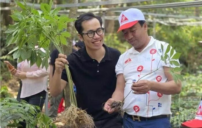  Công nhân Công ty TNHH Phát triển Khoa học Quốc tế Trường Sinh kiểm tra, đóng gói sản phẩm dược liệu trước khi đưa ra thị trường. Ảnh: HUYỀN TRANG 