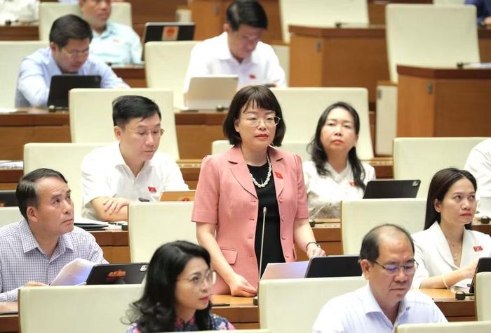 Theo ĐB Nguyễn Thị Mai Phương, cần bảo đảm sự thống nhất giữa dự thảo Luật Xuất bản với các cam kết quốc tế của Việt Nam về sở hữu trí tuệ và Luật Sở hữu trí tuệ. Ảnh: Đoàn ĐBQH tỉnh Gia Lai
