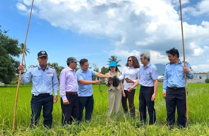 Lãnh đạo Sở Nông nghiệp và Môi trường cùng phường Ninh Hòa xử lý các vụ bẫy chim yến và chim hoang dã tại hiện trường.