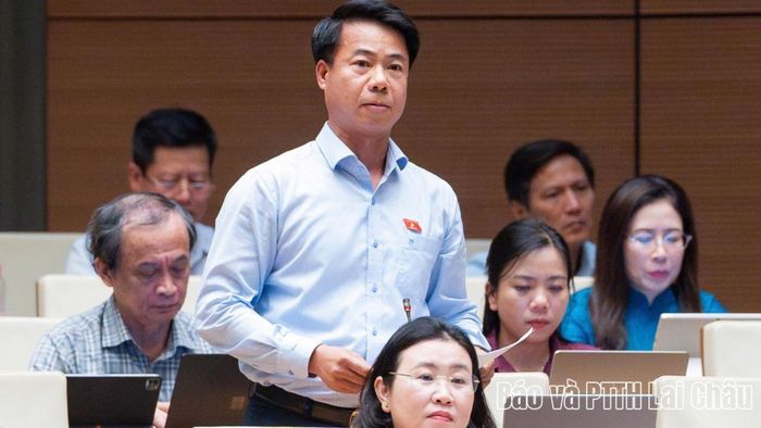 Đại biểu Hoàng Quốc Khánh phát biểu thảo luận tại hội trường.