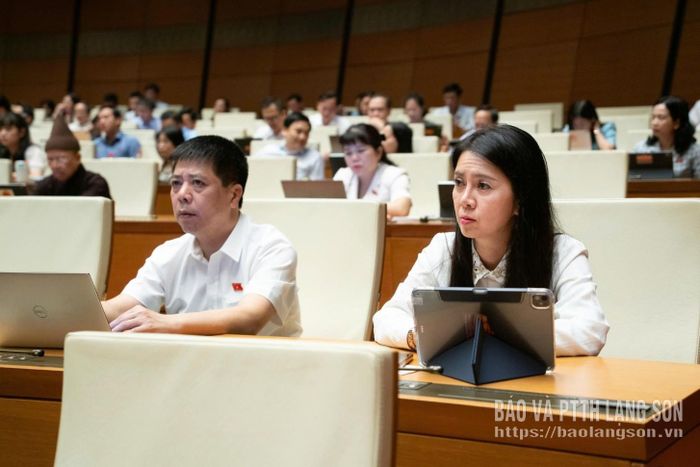 Đoàn ĐBQH tỉnh dự kỳ họp