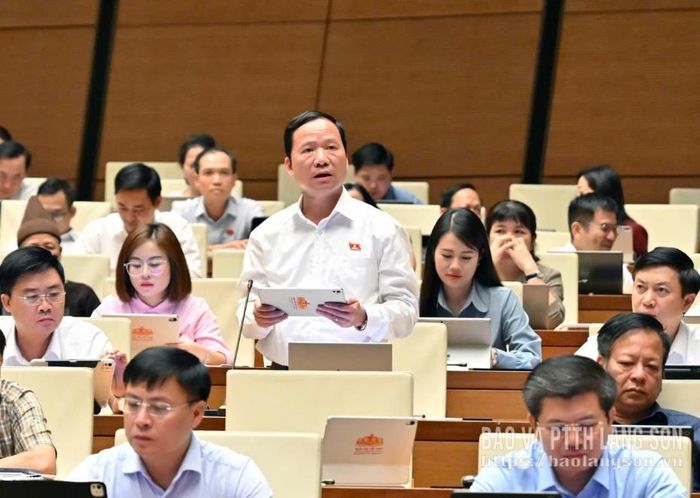Đại biểu Nguyễn Đặng Ân, Phó Trưởng Đoàn chuyên trách Đoàn ĐBQH tỉnh phát biểu thảo luận tại hội trường