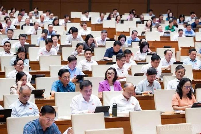 Các đại biểu Quốc hội tại phiên thảo luận.