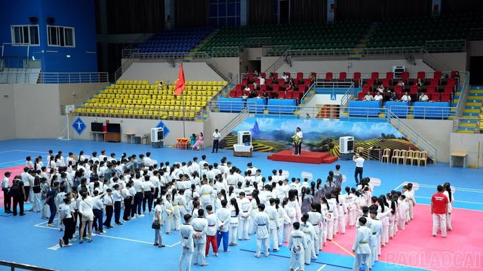 Giải quy tụ hơn 400 vận động viên thuộc 14 đoàn trên địa bàn tỉnh.