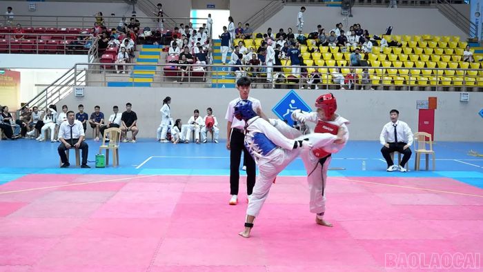 Các trận đấu diễn ra kịch tính, hấp dẫn.
