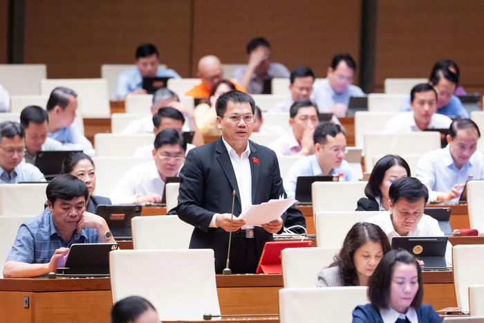 Đại biểu Dương Khắc Mai, Phó Trưởng Đoàn ĐBQH tỉnh Lâm Đồng phát biểu tại phiên họp
