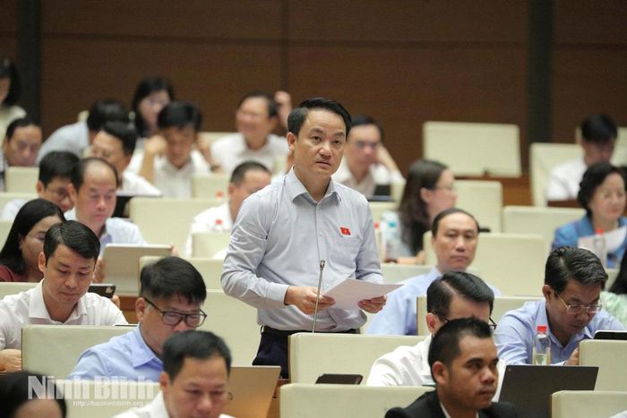 Đại biểu Lê Văn Thế, Tỉnh ủy viên, Phó Trưởng Đoàn ĐBQH chuyên trách tỉnh Ninh Bình phát biểu tham luận tại Hội trường.