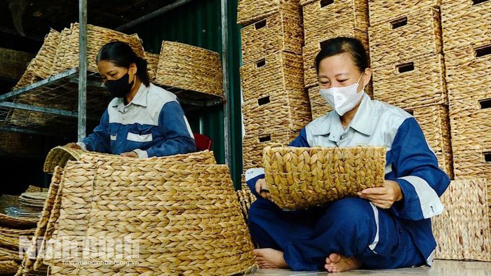 Các mô hình kinh tế do phụ nữ làm chủ đã góp phần tạo việc làm ổn định cho nhiều lao động địa phương.